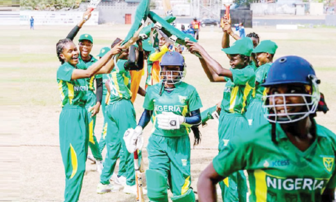 world-cup-qualifier-to-test-nigeria-s-facilities-cricket-prowess-akpata-says